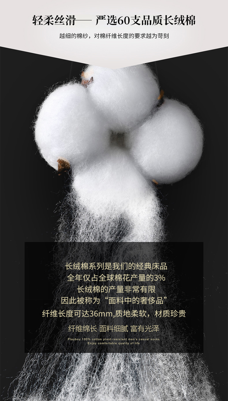 詳情
